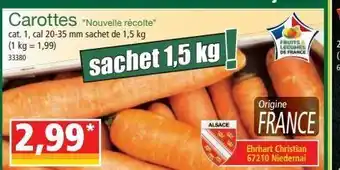 Norma Carottes offre
