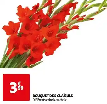 Auchan BOUQUET DE 5 GLAÏEULS offre
