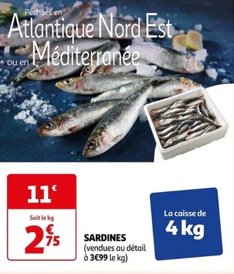 Auchan SARDINES offre