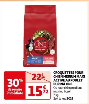 Auchan CROQUETTES POUR CHIEN MEDIUM MAXI ACTIVE AU POULET PURINA ONE offre