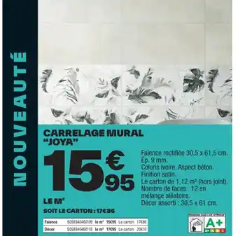 Brico Dépôt CARRELAGE MURAL "JOYA" offre