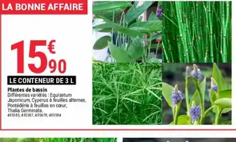 Gamm vert Plantes de bassin offre