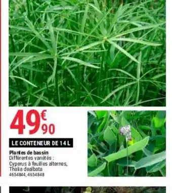 Gamm vert LE CONTENEUR DE 14 L Plantes de bassin offre