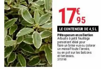 Gamm vert LE CONTENEUR DE 4,5 L Pittosporum en collection offre