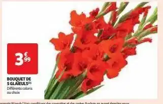 Auchan Supermarché Bouquet de 5 glaïeuls offre