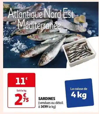Auchan Sardines offre