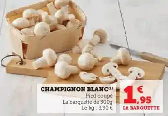 CHAMPIGNON BLANC(Âč)