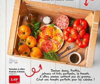 Colruyt Tomates à côtes ananas d'antan offre