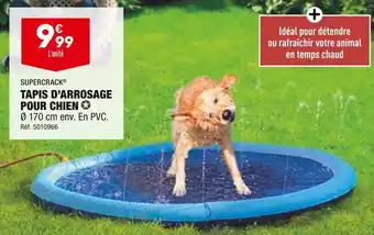 ALDI Supercrack tapis d’arrosage pour chien offre