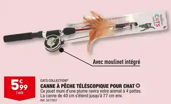 ALDI Cats collection canne à pêche téléscopique pour chat offre