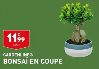 ALDI BONSAÏ EN COUPE offre