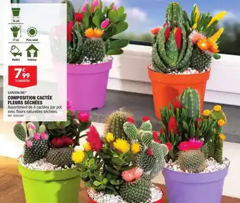 ALDI COMPOSITION CACTÉE FLEURS SÉCHÉES offre