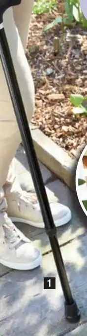CANNE OU PINCE DE PRĂHENSION