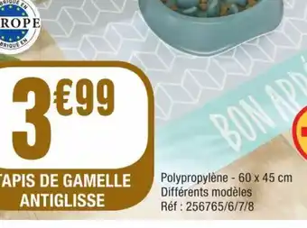 La Foir'Fouille TAPIS DE GAMELLE ANTIGLISSE offre
