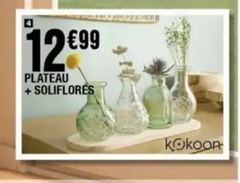 La Foir'Fouille PLATEAU + SOLIFLORES offre