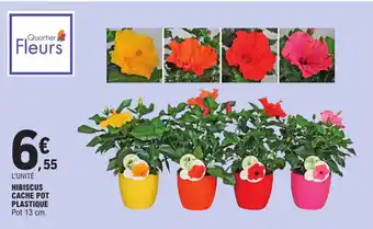 HIBISCUS CACHE POT PLASTIQUE