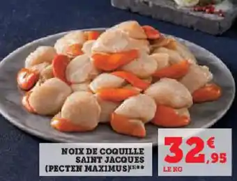 NOIX DE COQUILLE SAINT JACQUES (PECTEN MAXIMUS)***