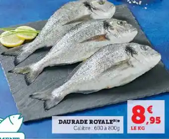 DAURADE ROYALE