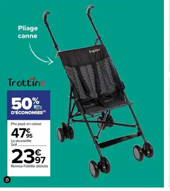 Poussettes canne cantor
