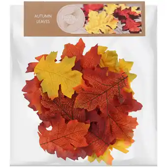 Action Feuilles d'automne offre
