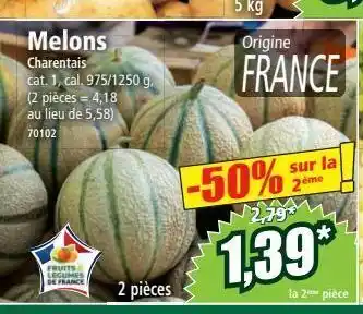 Norma Melon offre