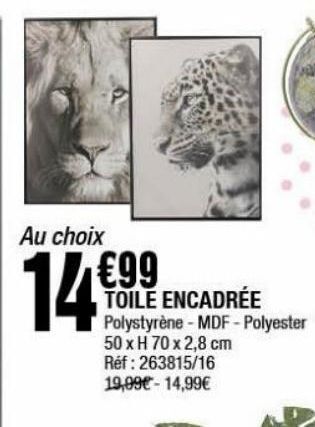 La Foir'Fouille Toile encadrée offre