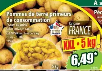 Norma Pommes de terre primeurs de consommation offre
