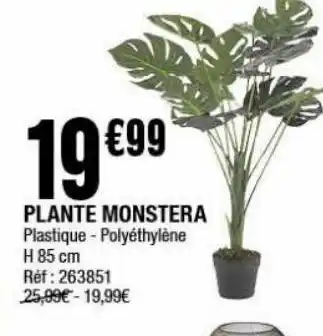 La Foir'Fouille Plante monstera offre