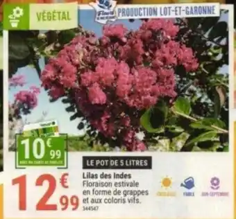 Gamm vert Lilas des Indes Floraison estivale offre