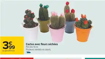 Carrefour Cactus avec fleurs séchées Pot zinc 9 cm. Plusieurs variétés et coloris. offre