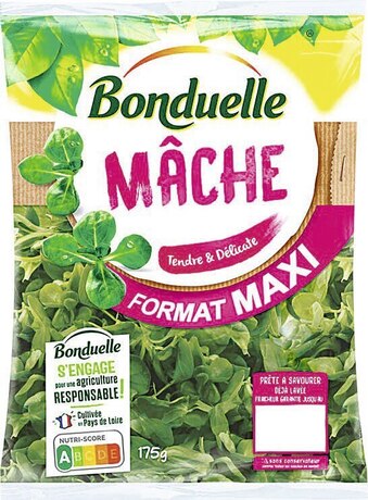 MÂCHE TENDRE ET DÉLICATE