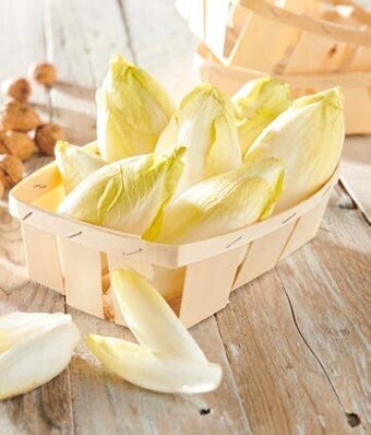 Auchan ENDIVES offre