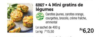 Thiriet 4 Mini gratins de légumes offre