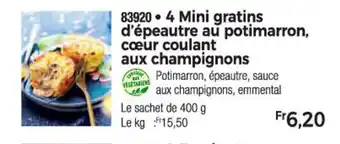 Thiriet 4 Mini gratins d'épeautre au potimarron, cœur coulant offre