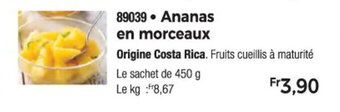 Thiriet Ananas en morceaux offre