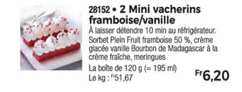 Thiriet 2 Mini vacherins framboise/vanille offre