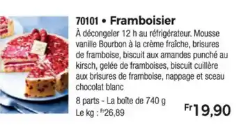 Thiriet 70101 Framboisier offre