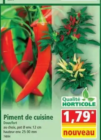 Norma Piment de cuisine offre