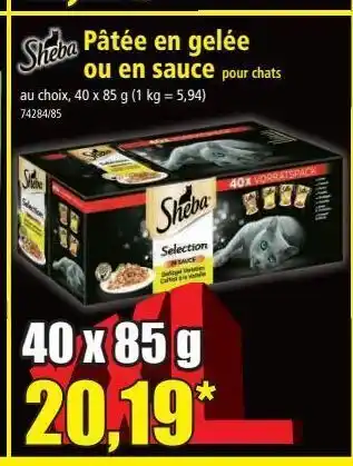 Norma Pâtée en gelée ou en sauce offre