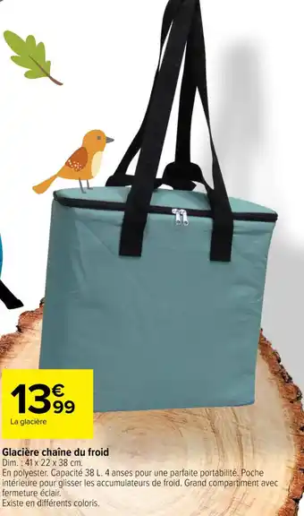 Carrefour Glacière chaîne du froid Dim.: 41 x 22 x 38 cm. offre