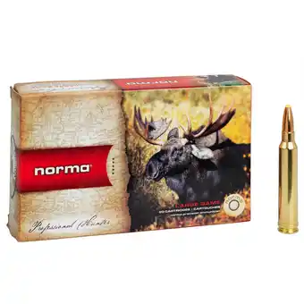 Balles norma 300 wm dual core 180 grains x20