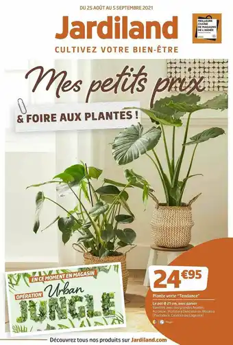 Jardiland Plante Verte offre