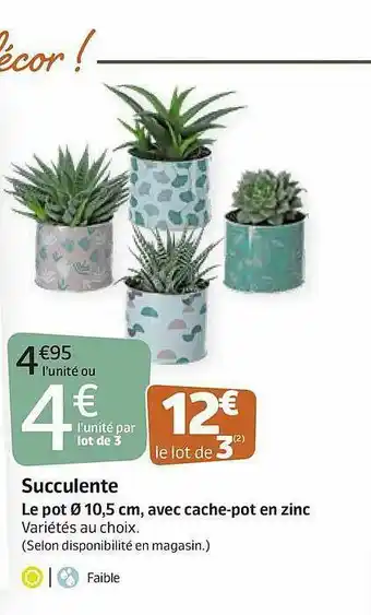 Jardiland Succulente : Le Pot 10,5 Cm, Avec Cache-pot En Zinc offre