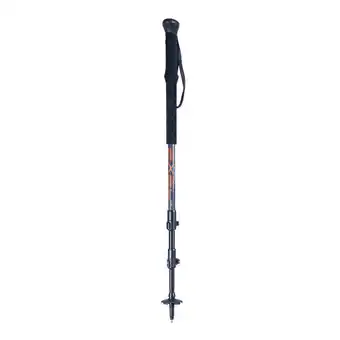 Decathlon Batons de randonnee peak carbon 100 offre