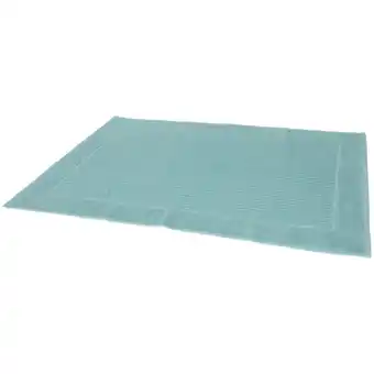 Action Tapis de bain Capetown offre