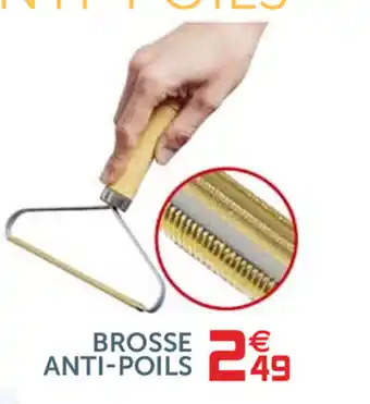 Gifi Brosse Anti-Poils offre