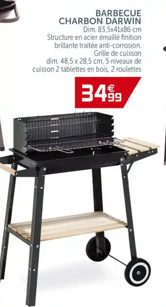 Gifi Barbecue Charbon darwin offre