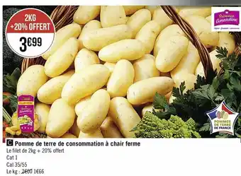 Pomme de terre de consommation à chair ferme