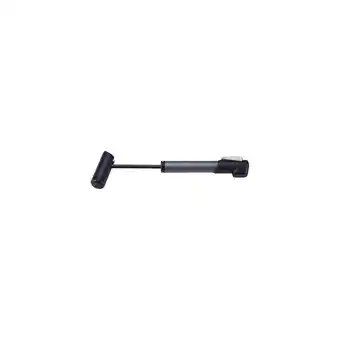 Decathlon Minipompe windrush gris 250mm offre