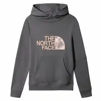 Decathlon Sweatshirt fille the north face drew peak p/o 2.0 offre